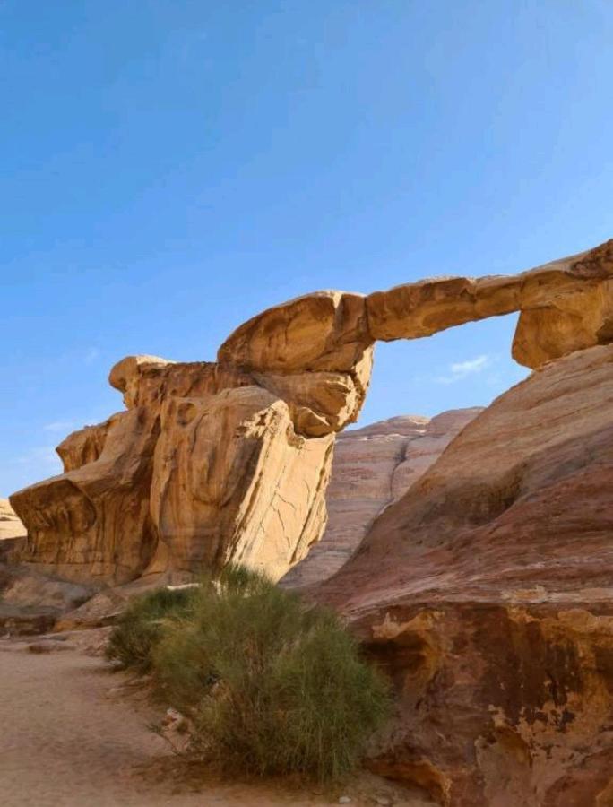 Moon Night Camp Hotel Wadi Rum Eksteriør billede