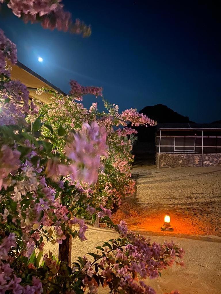 Moon Night Camp Hotel Wadi Rum Eksteriør billede